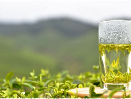 Yeşil Çay Kilo Kaybına Yardımcı Olur Mu?